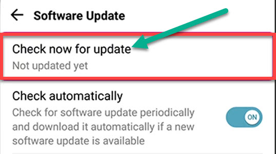 Scroll down and select 'Software Update' or 'System.'